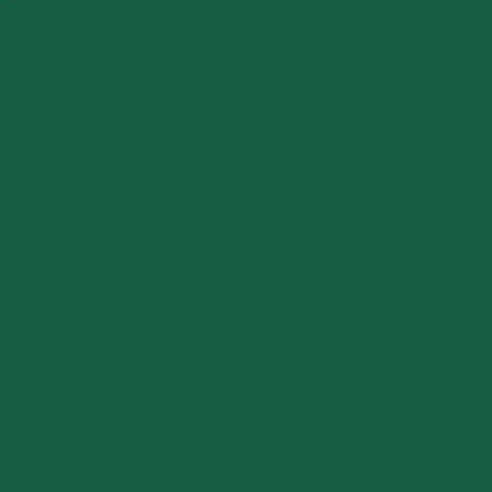 Osprey Packs Rook 65 Backpacking Pack, Mallard Green, One Size